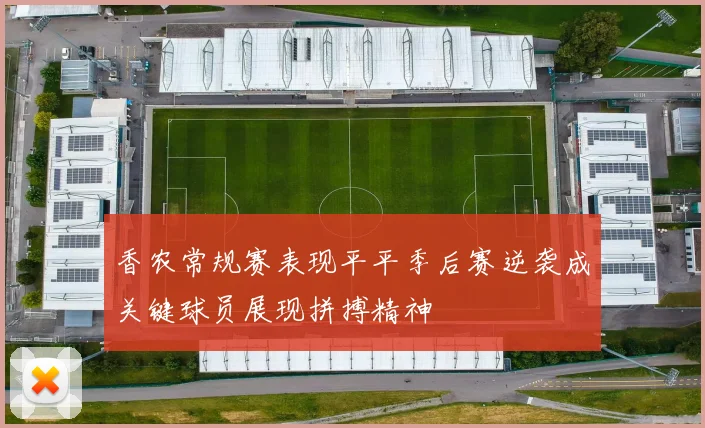 香农常规赛表现平平季后赛逆袭成关键球员展现拼搏精神